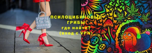 стафф Володарск